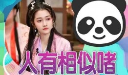 综艺娱乐圈吃瓜爆料小说,揭秘幕后真相，吃瓜群众狂欢盛宴