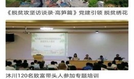 沐川网友爆料新闻最新,神秘事件背后真相揭晓！